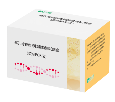 基孔肯雅病毒核酸檢測(cè)試劑盒(熒光PCR法)